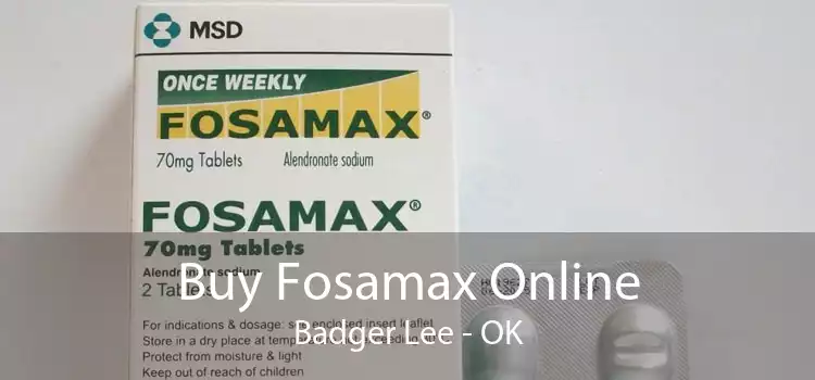 Buy Fosamax Online Badger Lee - OK