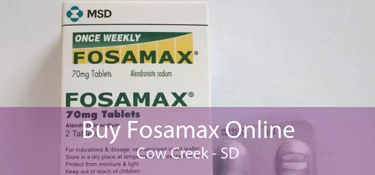 Buy Fosamax Online Cow Creek - SD